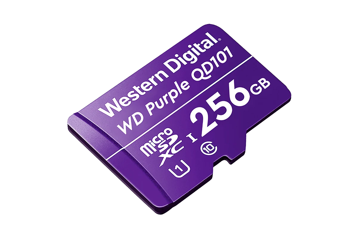 256GB microSD Card (Surveillance Grade)